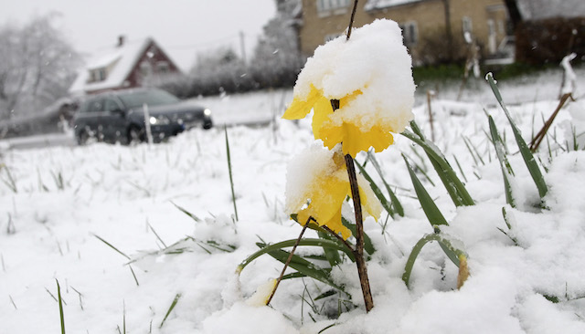 Too Snowy for Spring: How this is Effecting Real Estate