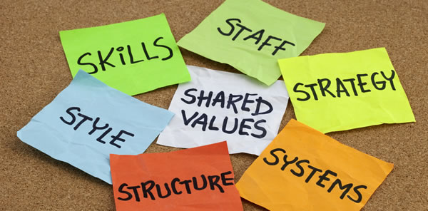 Crafting Your Organizational Culture